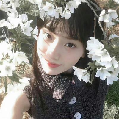 我的狗子